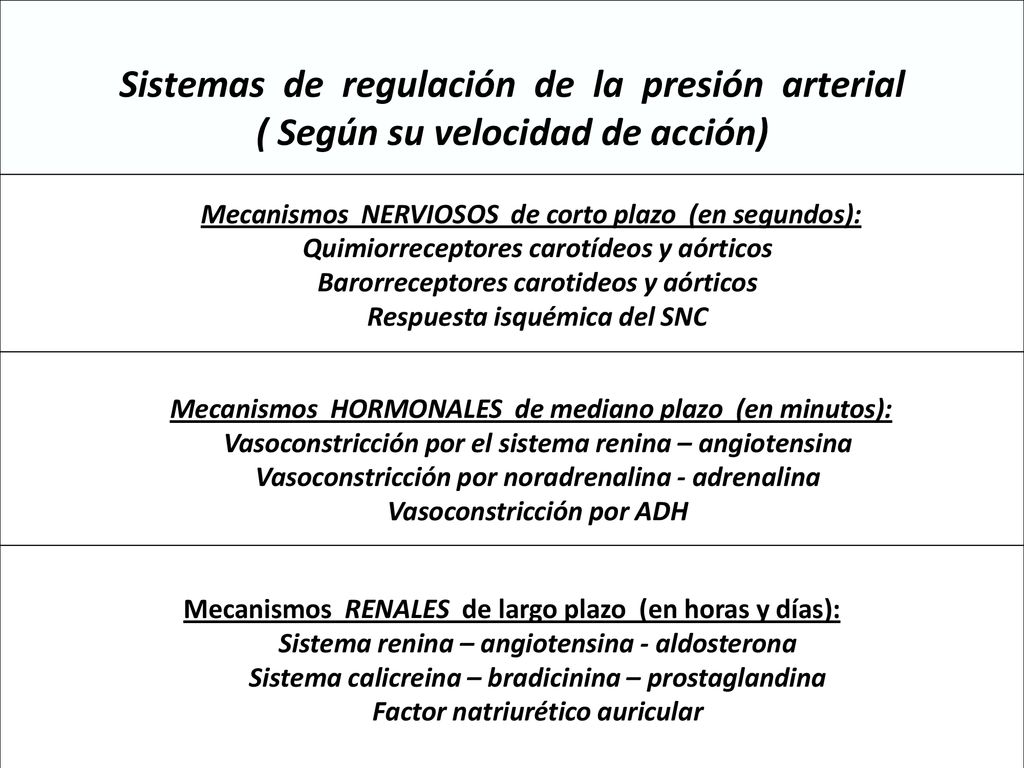 ¿Cómo se regula la presión arterial a corto y largo plazo? ¿Cómo se regula la presión arterial a corto y largo plazo?